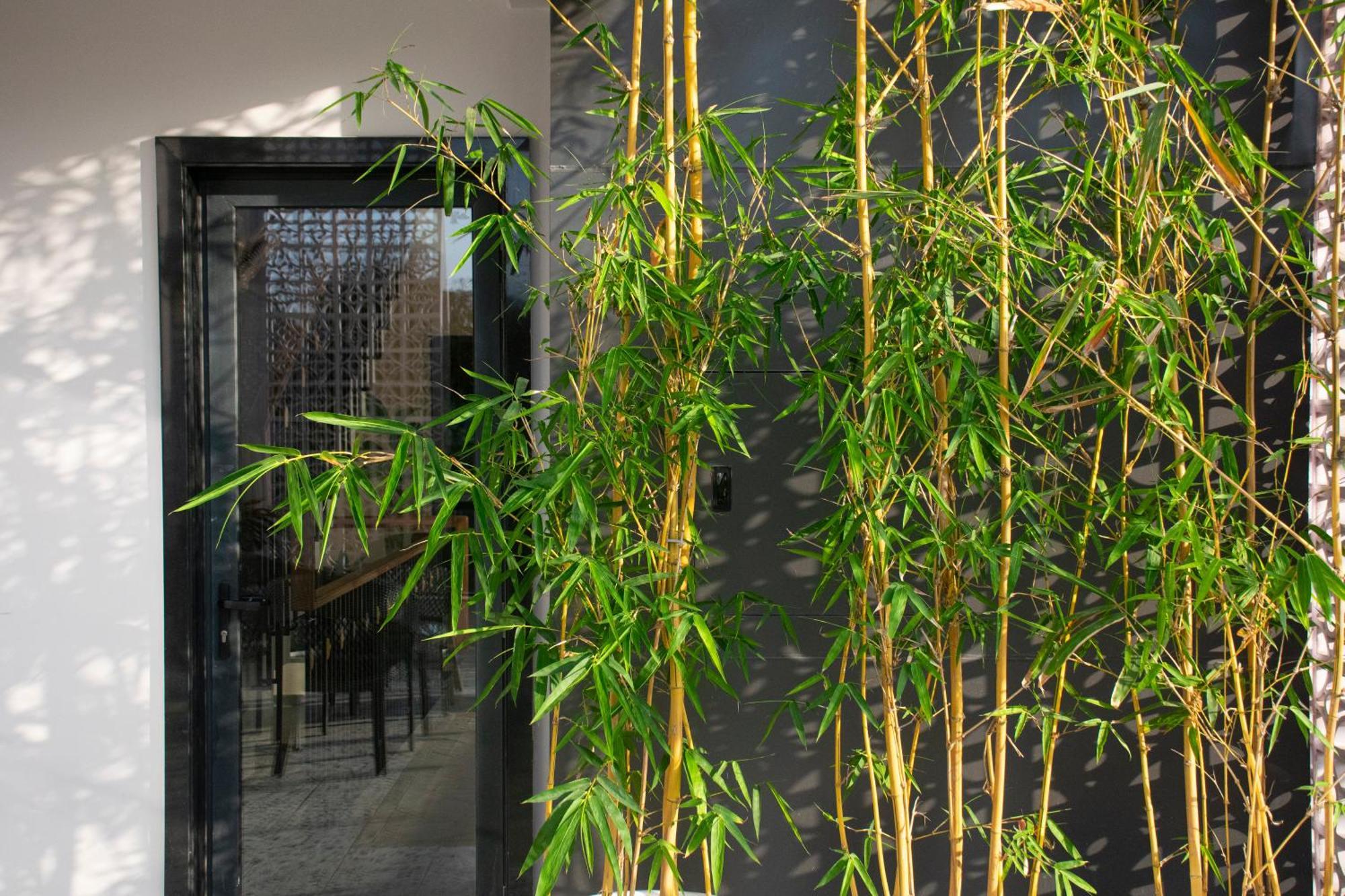 Villasiita, 斋浦尔 外观 照片